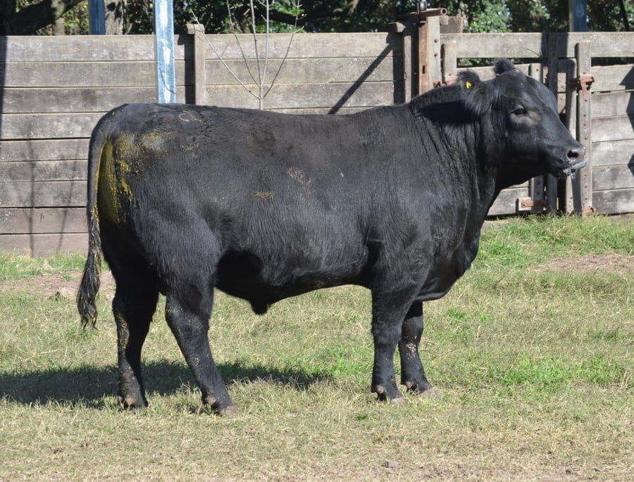 Lote CABAÑA “COEMBOTÁ” de Calderón RP 124