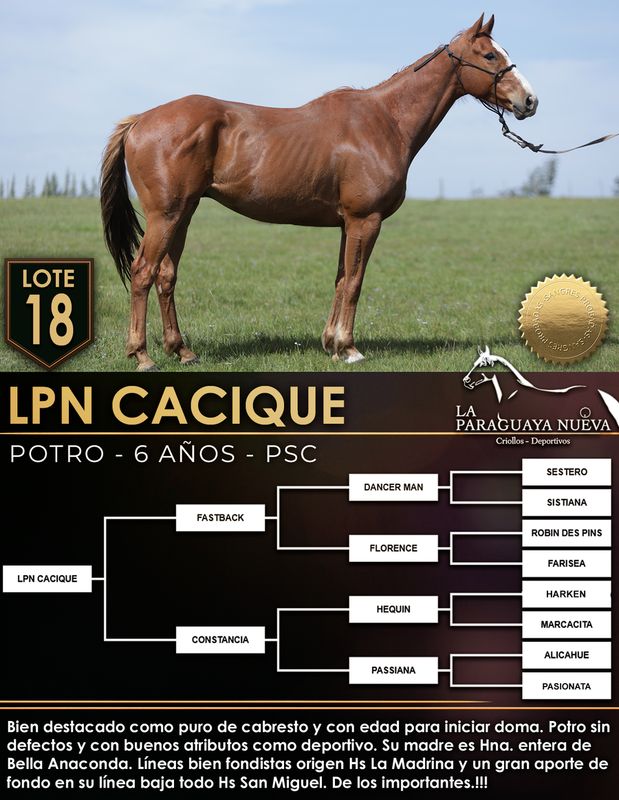 Lote LPN CACIQUE