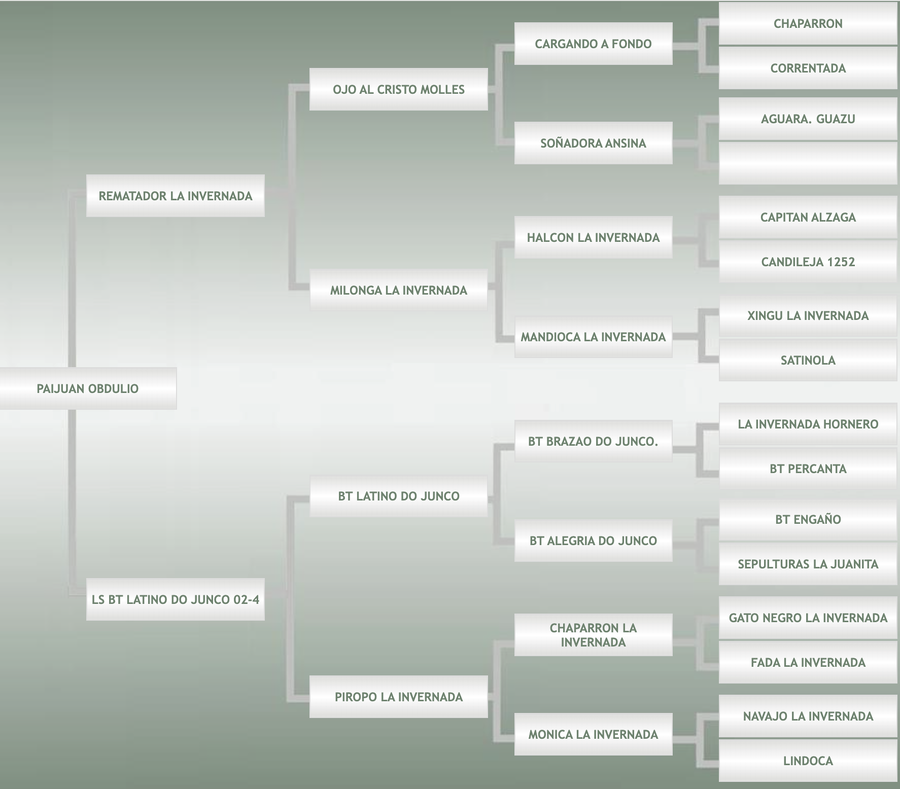 Lote Paijuan Obdulio