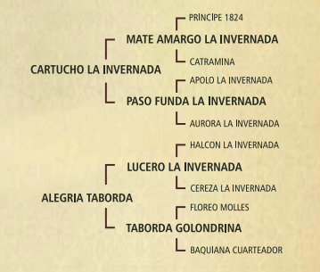 Lote Ventajosa taborda