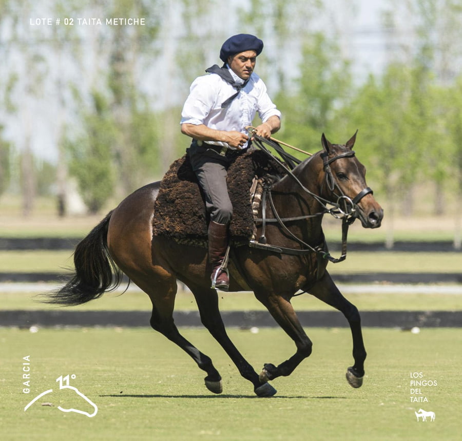 Lote TAITA METICHE - T/E (DOLFINA EL CUCUMELO - TAITA GOSSIP GIRL)