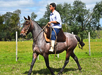 Lote Ventajosa taborda
