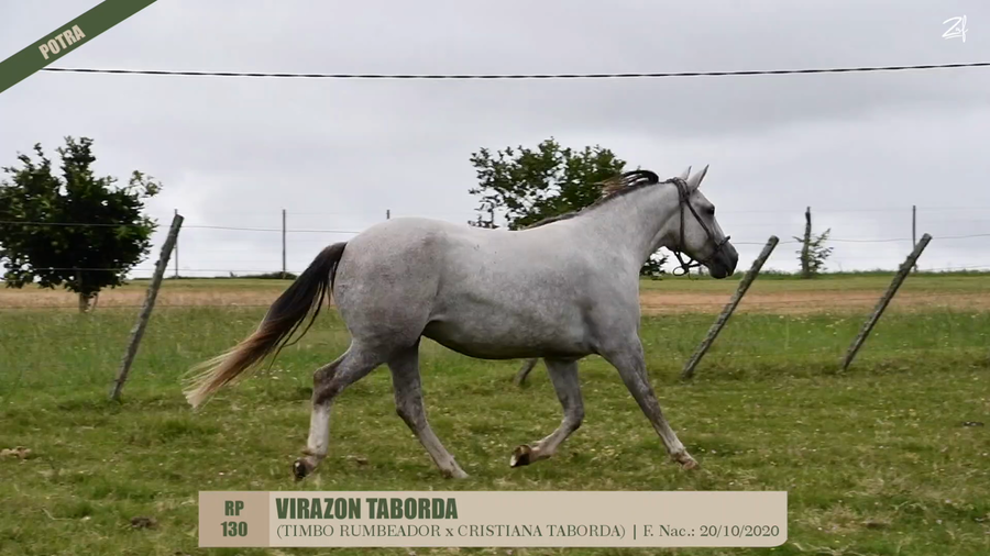 Lote VIRAZON TABORDA