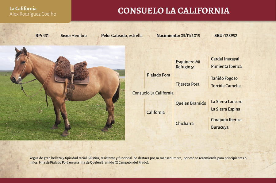 Lote Consuelo La California (RP 431) - Cabaña La California