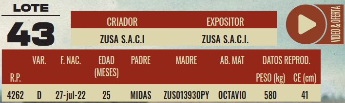 Imagen 2 del Lote Lote LOTE 43 - MACHOS DE CAMPO