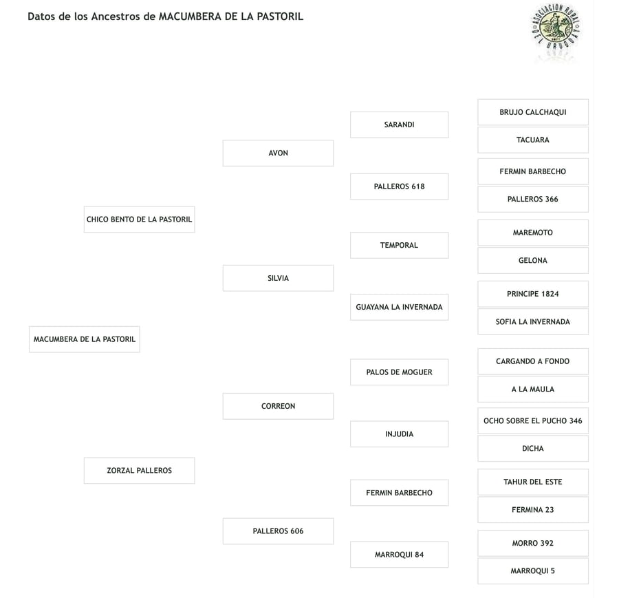 Lote Cabaña "La Pastoril" - RP 99 - Macumbera de La Pastoril