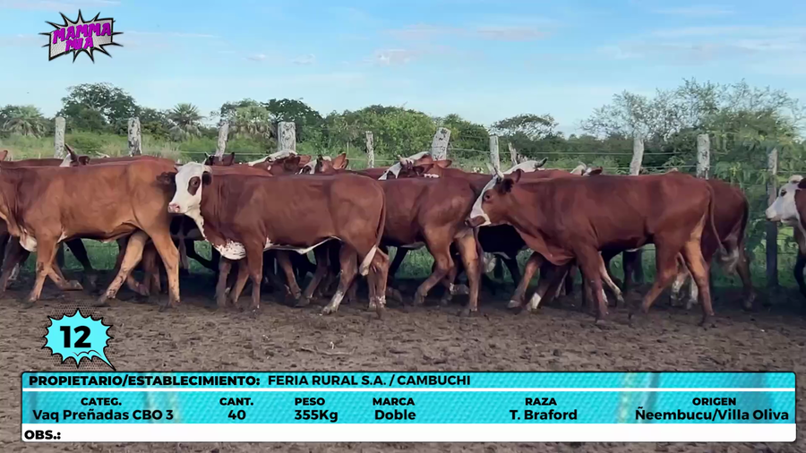 Lote LOTE 12