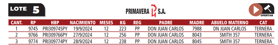Lote LOTE 5