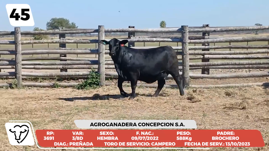 Lote LOTE 45