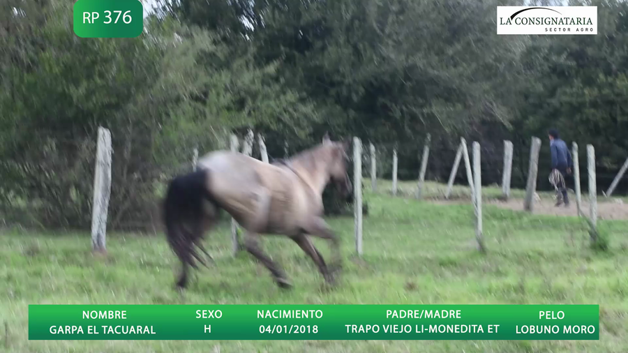 Lote GARPA EL TACUARAL