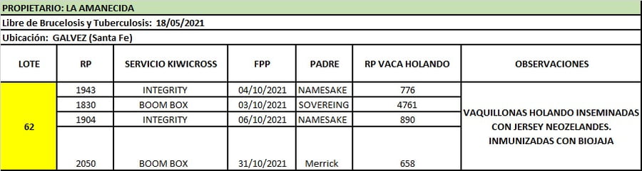 Lote Lote 62 La amanecida