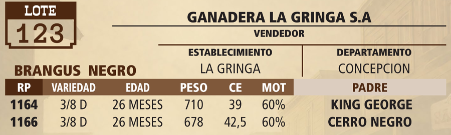 Lote LOTE 123 - VIVO