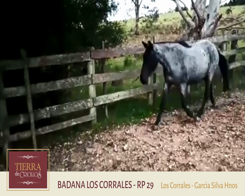 Lote Badana Los Corrales (RP 29) - Cabaña Los Corrales
