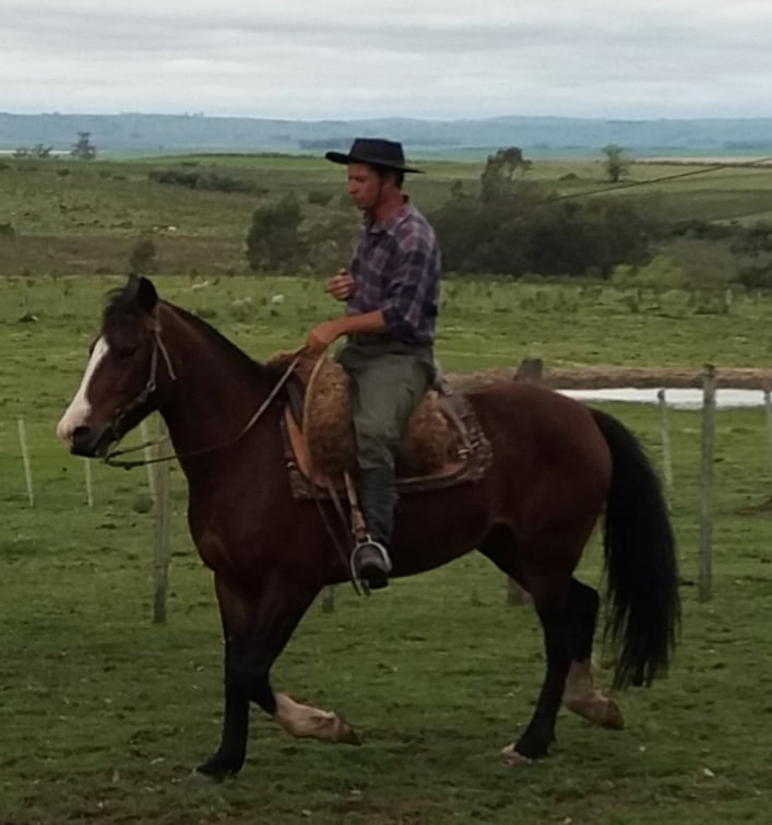 Lote Cabaña "La Constancia" - RP 31 - Lagunera La Constancia