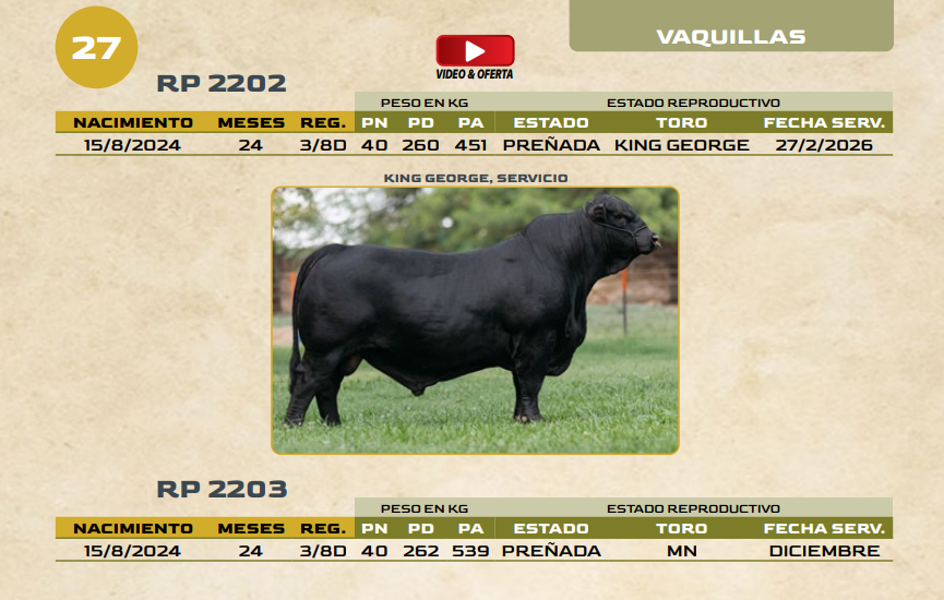 Lote LOTE 27
