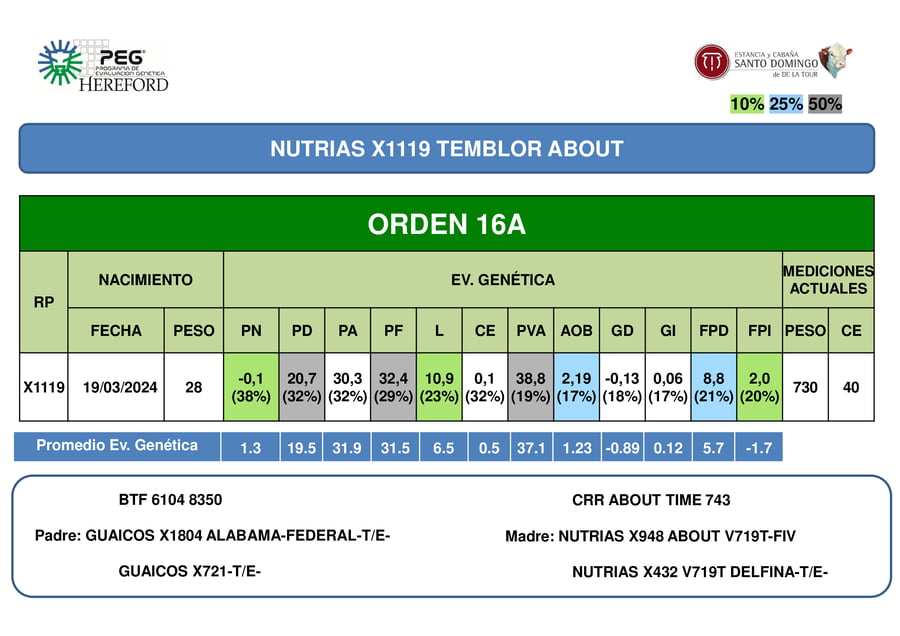 Lote ORDEN 16 TOROS PP