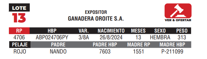 Lote LOTE 13 - JUNIOR