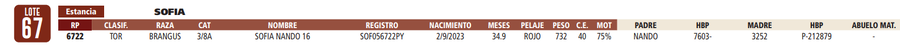 Lote LOTE 67