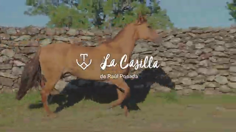 Lote MATRERA 724 DE LA CASILLA