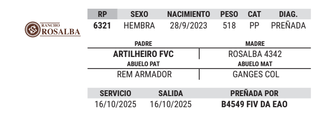 Lote LOTE 3