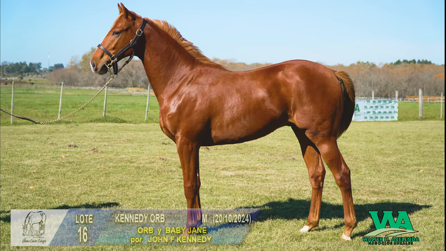 Lote KENNEDY ORB