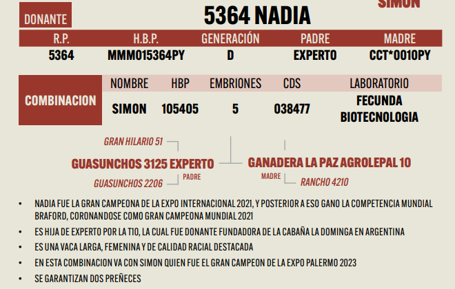 Lote LOTE 21