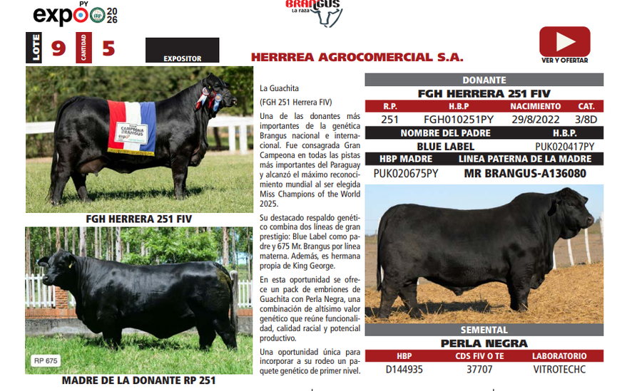 Lote LOTE 9