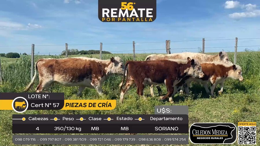 Lote 4 Piezas de cría en Agraciada, Soriano