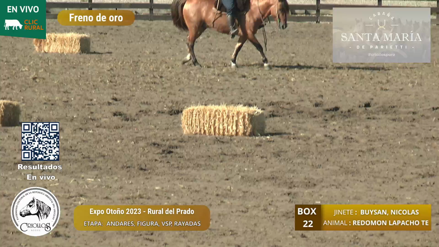 Lote REDOMON LAPACHO TE - AGR. LOS REDOMONES - JACQUES BOUTMY