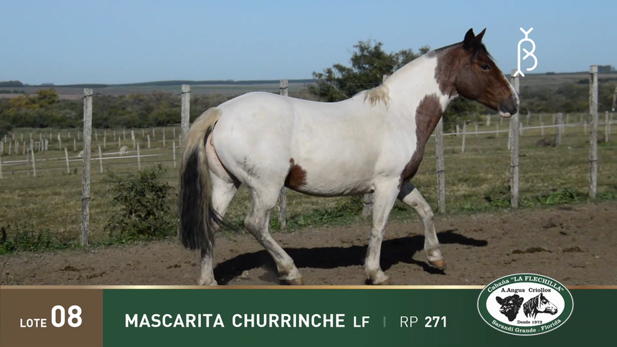 Lote MASCARITA CHURRINCHE LF