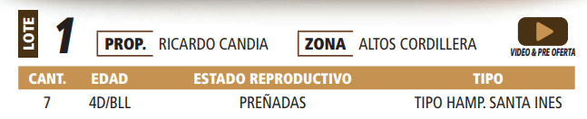 Lote LOTE 1 -POR PANTALLA