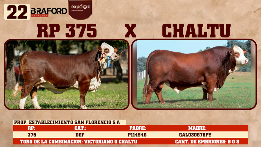 Lote LOTE 22