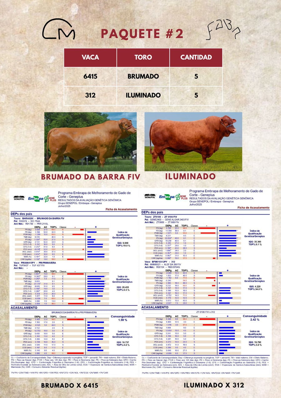 Lote PAQUETE 2