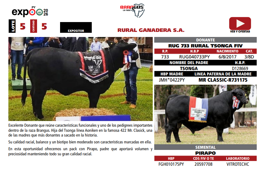 Lote LOTE 5