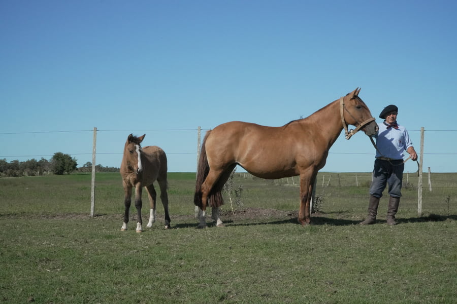 Lote MACARENA AGUA CLARA