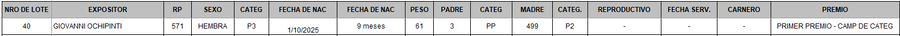 Lote LOTE 40 - BOZAL