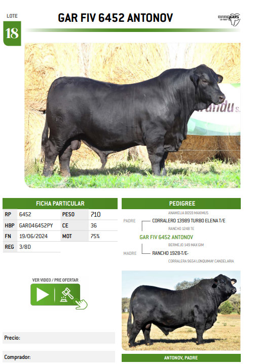 Lote LOTE 18