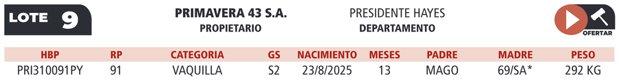 Lote LOTE 9