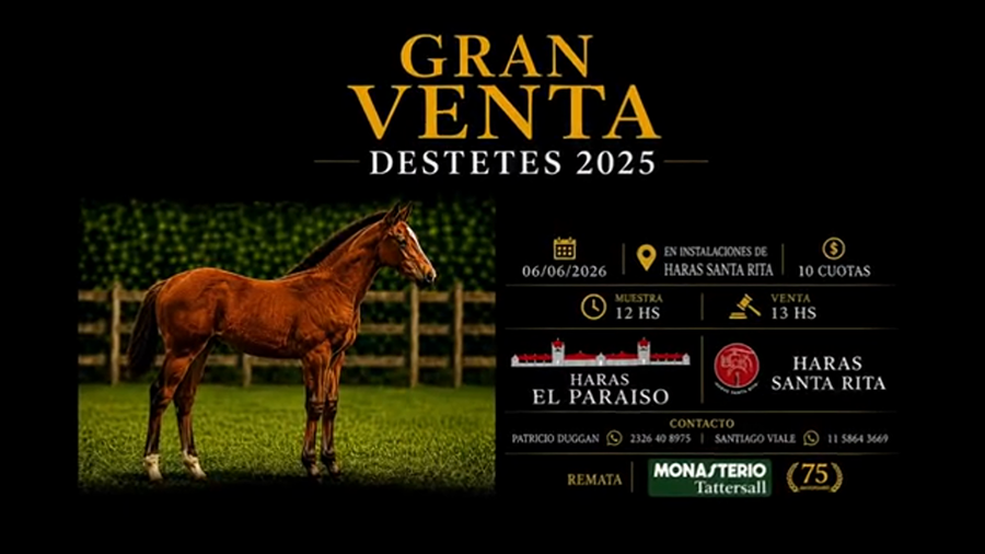 Lote PRELUCIO