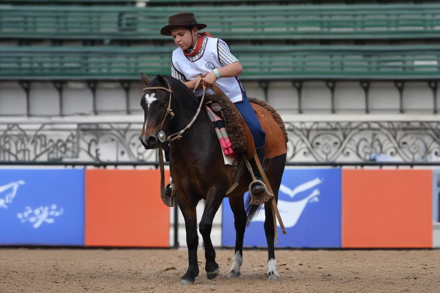 Lote MANANTIALES -Petiso Argentino-