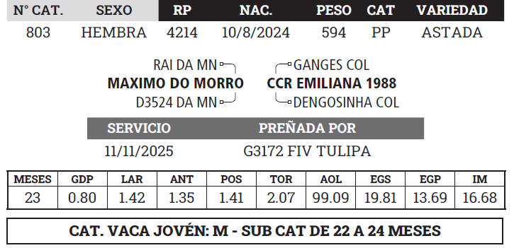 Lote LOTE 2 - BOZAL