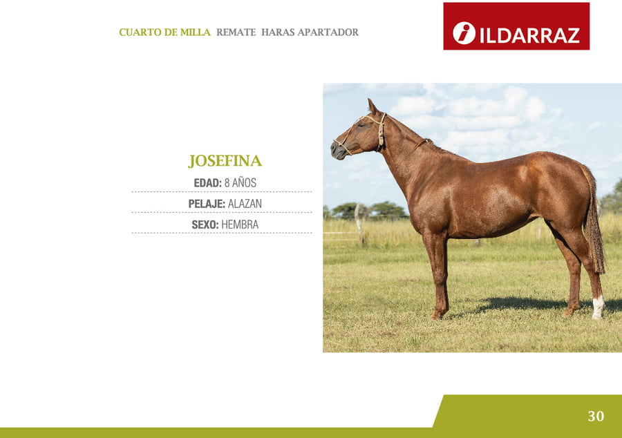 Lote JOSEFINA