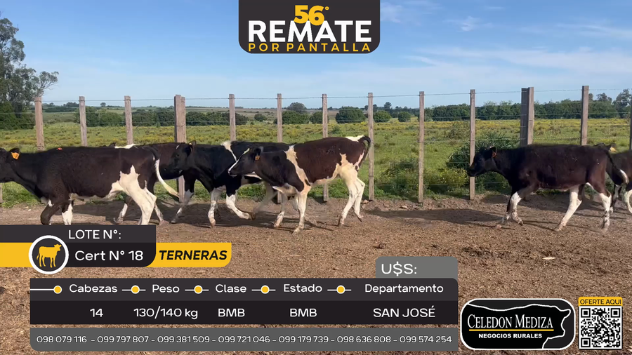 Lote 14 Terneras en Camino del Vintén, San José