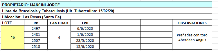 Lote 4 Vaquillonas en Las Rosas, Santa Fe