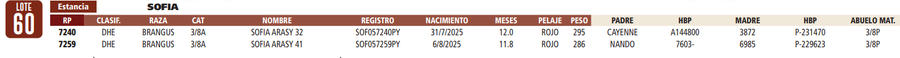 Lote LOTE 60