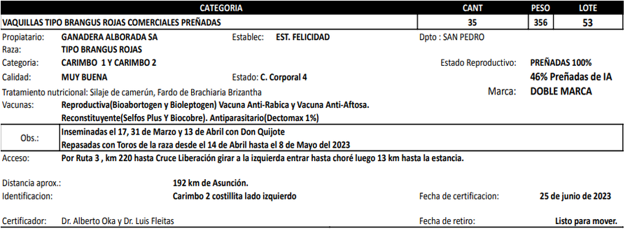 Lote LOTE 53