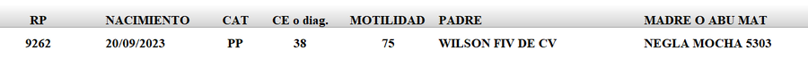 Lote LOTE 44