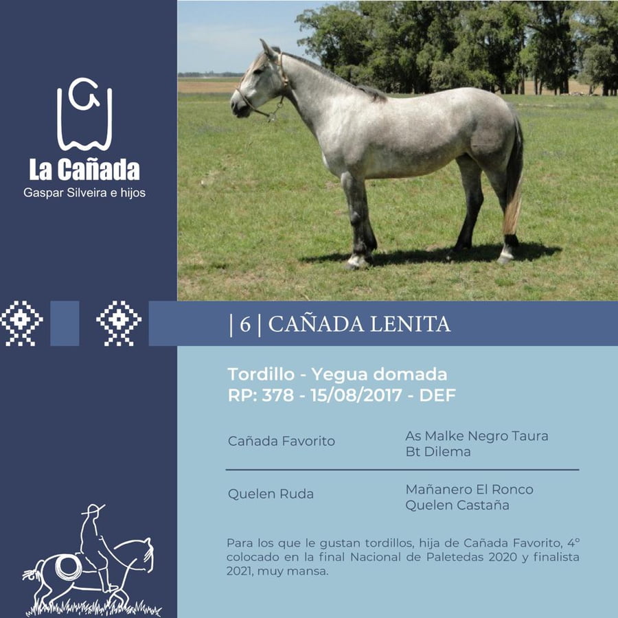 Lote Cañada Lenita (RP 378) Cabaña "La Cañada"