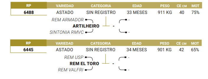 Lote LOTE 22