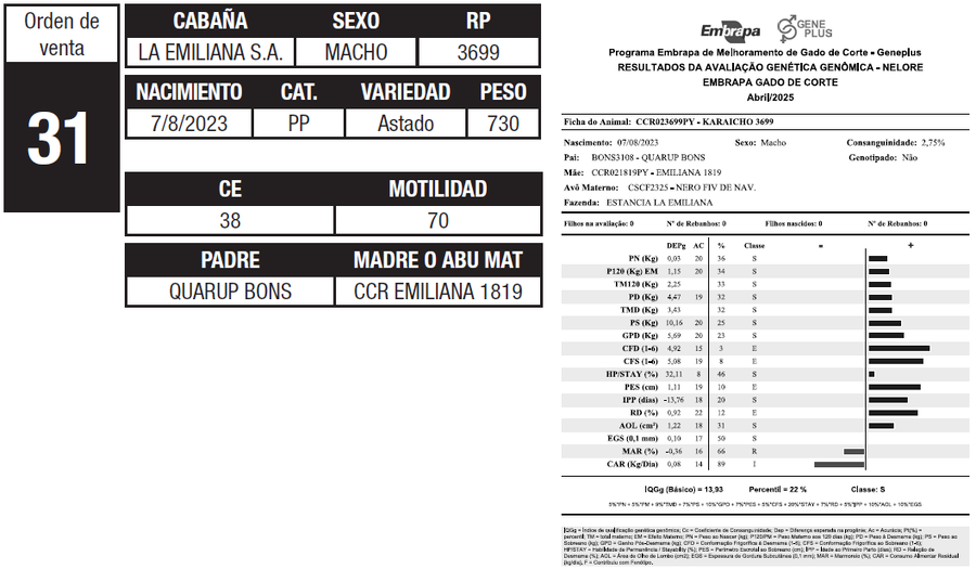 Lote LOTE 31